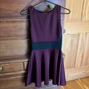 Aqua Sleeveless Burgundy Fit-and-Flare Skater Dress with Black Waistband